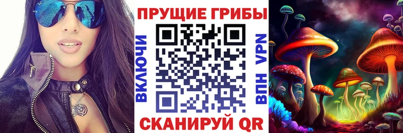 Галлюциногенные грибы ЛСД  даркнет сайт  Липецк 