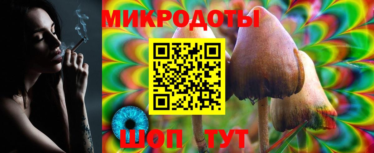 Псилоцибиновые грибы Magic Shrooms  где купить наркотик  Липецк  Вход с VPN 